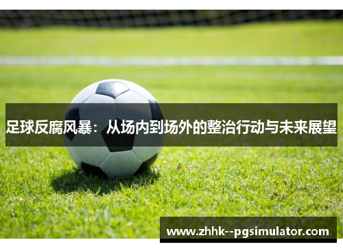 足球反腐风暴：从场内到场外的整治行动与未来展望