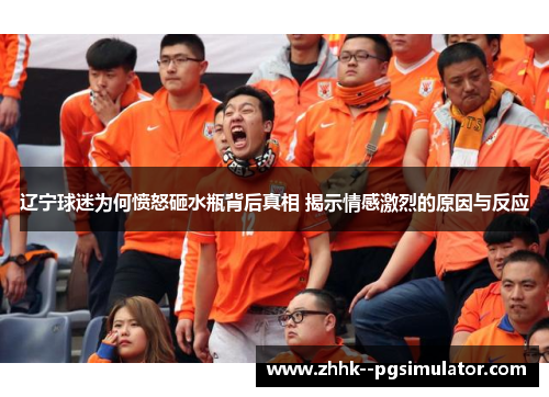 辽宁球迷为何愤怒砸水瓶背后真相 揭示情感激烈的原因与反应