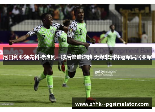 尼日利亚领先科特迪瓦一球后惨遭逆转 无缘非洲杯冠军屈居亚军