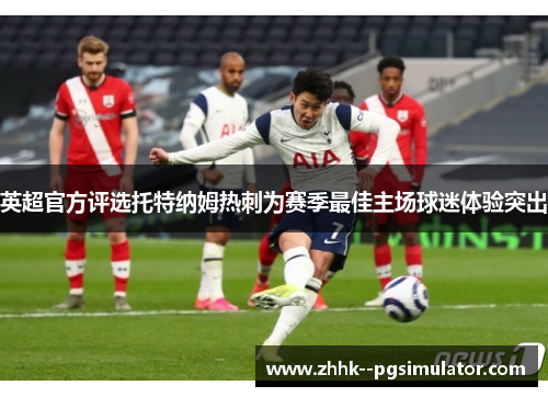 英超官方评选托特纳姆热刺为赛季最佳主场球迷体验突出