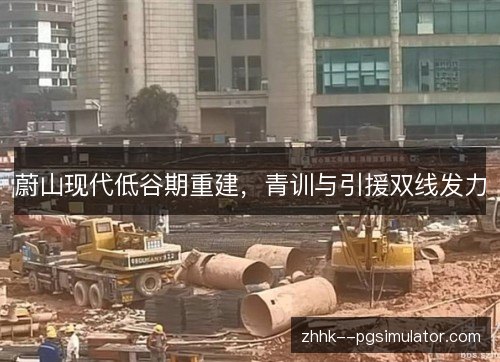 蔚山现代低谷期重建,青训与引援双线发力 蔚山现代低谷期重建,青训与引援双线发力